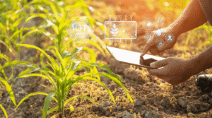How Smart Technology Is Transforming Agriculture