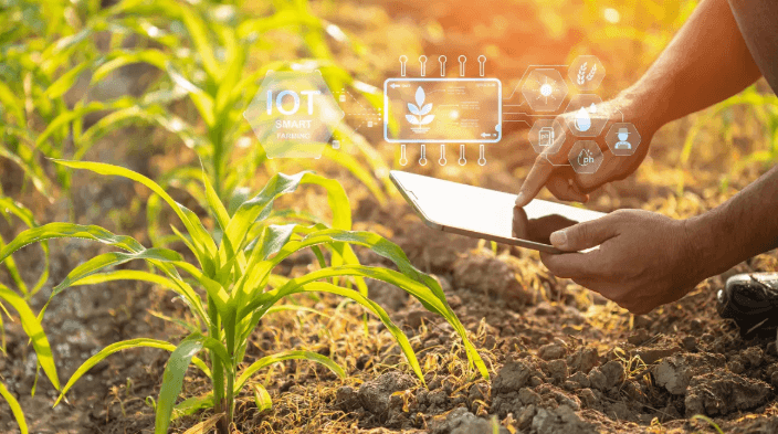 How Smart Technology Is Transforming Agriculture